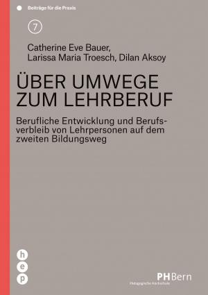 Cover of the book Über Umwege zum Lehrberuf by Astrid Frischknecht