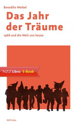 Cover of the book Das Jahr der Träume by Urs Schoettli