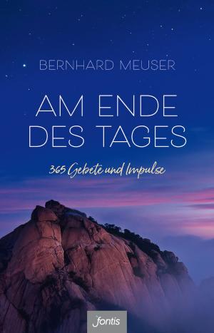 Cover of the book Am Ende des Tages by Damaris Kofmehl
