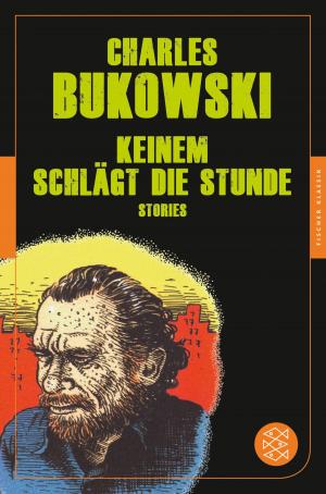 Cover of the book Keinem schlägt die Stunde by David Vienna