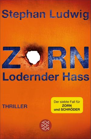 Book cover of Zorn 7 - Lodernder Hass