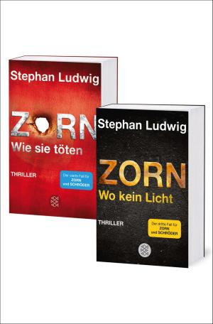 Cover of the book Zorn. Die Fälle drei und vier für Hauptkommissar Zorn und den dicken Schröder by Sadie Matthews