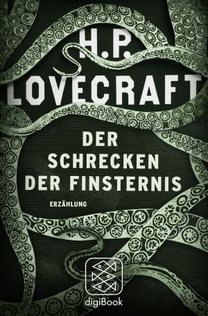 Cover of the book Der Schrecken der Finsternis by Julia Franck