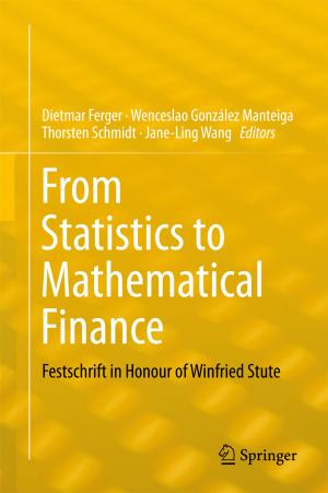 Cover of the book From Statistics to Mathematical Finance by 