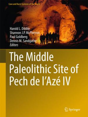 Cover of the book The Middle Paleolithic Site of Pech de l'Azé IV by Kristof Van Assche, Petruța Teampău