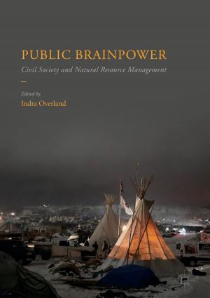 Cover of the book Public Brainpower by Patrick T. Merricks