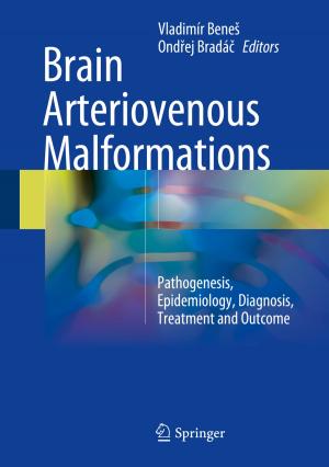 Cover of the book Brain Arteriovenous Malformations by Mark W. Milke, John F. Raffensperger