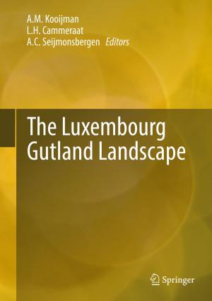 Cover of the book The Luxembourg Gutland Landscape by Oliver Keszocze, Robert Wille, Rolf Drechsler
