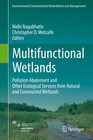 Cover of the book Multifunctional Wetlands by Rodolphe Antoni, Laurent Bourgois