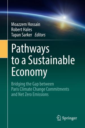 Cover of the book Pathways to a Sustainable Economy by Fabrizio Antenucci