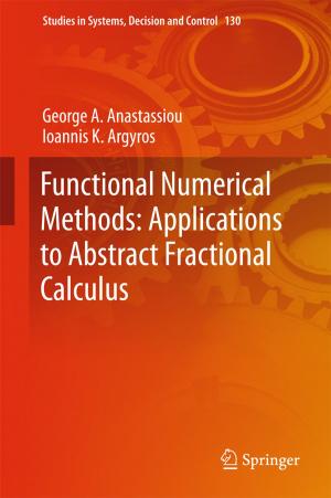 Book cover of Functional Numerical Methods: Applications to Abstract Fractional Calculus