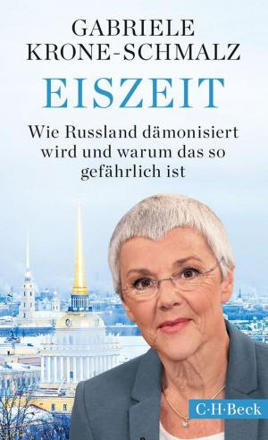 Cover of the book Eiszeit by Harald Weinrich
