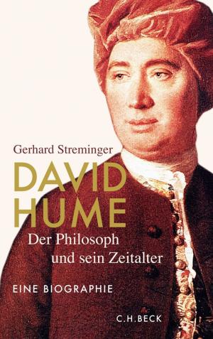Cover of the book David Hume by Rolf Schwartmann, Tobias Keber, Patrick Godefroid