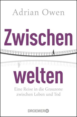 Cover of the book Zwischenwelten by Simon Lelic