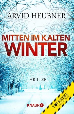 Cover of the book Mitten im kalten Winter by Val McDermid