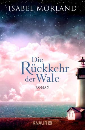 Cover of the book Die Rückkehr der Wale by Sophie Seeberg