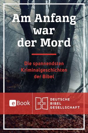 Cover of the book Am Anfang war der Mord by Stephan A. Reinke