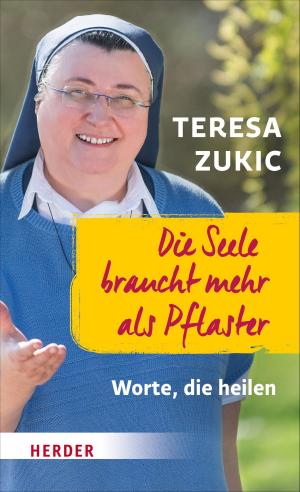 Cover of the book Die Seele braucht mehr als Pflaster by Notker Wolf