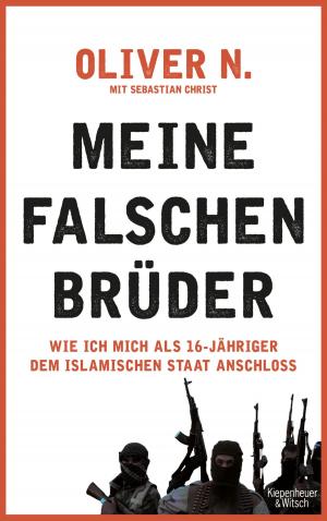 Cover of the book Meine falschen Brüder by Peter Wawerzinek