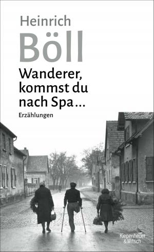 Cover of the book Wanderer, kommst du nach Spa ... by Tom Hillenbrand