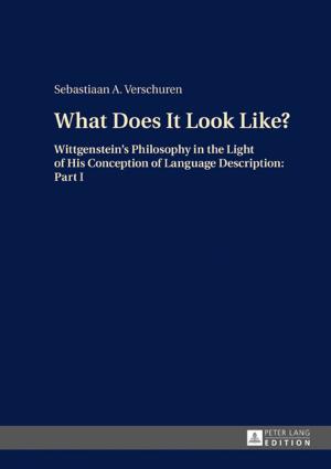 Cover of the book What Does It Look Like? by Gerlinde Bretzigheimer