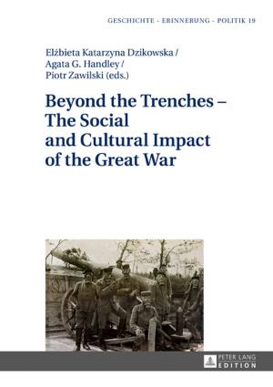 Cover of the book Beyond the Trenches The Social and Cultural Impact of the Great War by Stefanie Judex