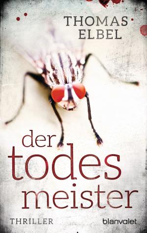 Cover of the book Der Todesmeister by Jamie Shaw