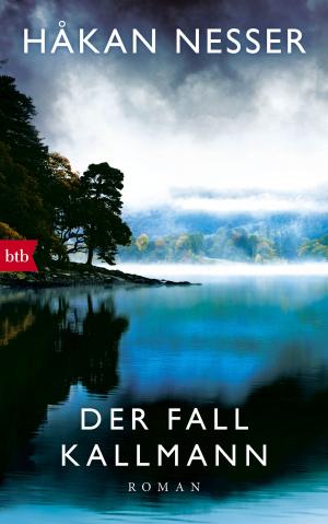 Cover of the book Der Fall Kallmann by Dimitri Verhulst