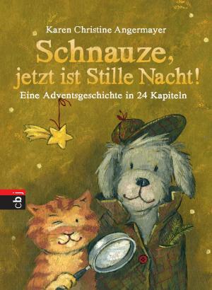 Cover of the book Schnauze, jetzt ist Stille Nacht! by Holly Black