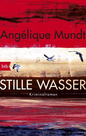 Cover of the book Stille Wasser by Juli Zeh