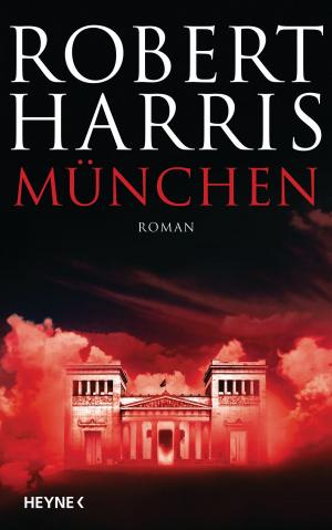 Book cover of München