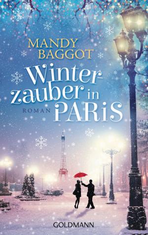 Cover of the book Winterzauber in Paris by Constanze Wilken