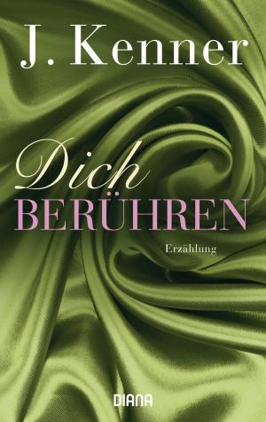 Cover of the book Dich berühren by Brigitte Riebe