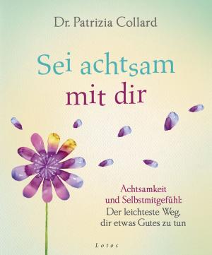 Cover of the book Sei achtsam mit dir by Aljoscha Long, Ronald Schweppe