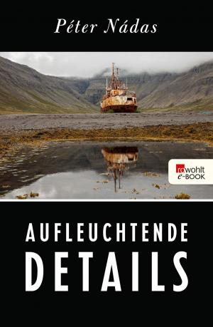 Cover of the book Aufleuchtende Details by Sibylle Berg