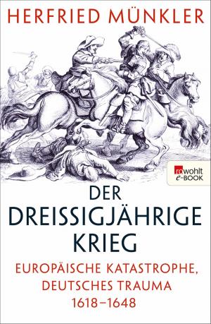 Cover of the book Der Dreißigjährige Krieg by Simon Beckett