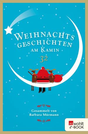 Book cover of Weihnachtsgeschichten am Kamin 32