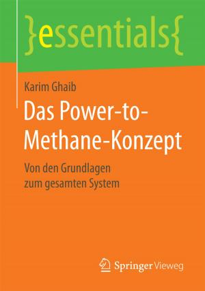 Cover of the book Das Power-to-Methane-Konzept by Jörg Reinnarth, Claus Schuster, Jan Möllendorf, André Lutz, Peter Buchenau