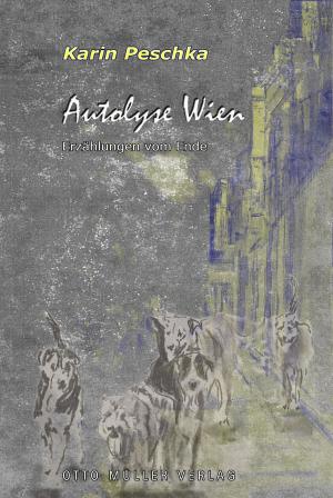 Cover of the book Autolyse Wien by Walter Wippersberg