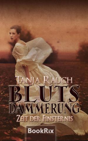 Cover of the book Blutsdämmerung Band 2 by A. F. Morland