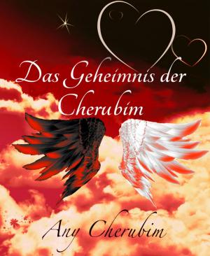 Book cover of Das Geheimnis der Cherubim
