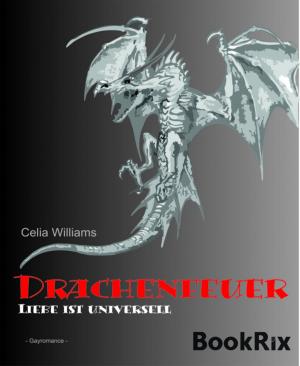 bigCover of the book Drachenfeuer - Liebe ist universell by 