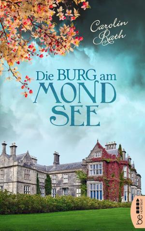 Cover of the book Die Burg am Mondsee by Stefan Frank
