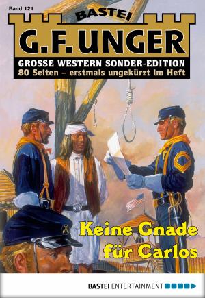 Cover of the book G. F. Unger Sonder-Edition 121 - Western by Verena Kufsteiner