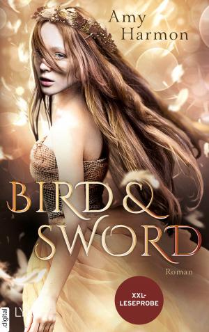 Cover of the book XXL-Leseprobe: Bird and Sword by Kim Nina Ocker