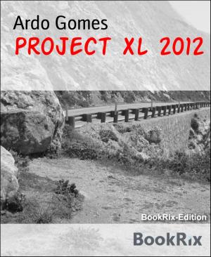 Cover of the book Project Xl 2012 by InterNations GmbH