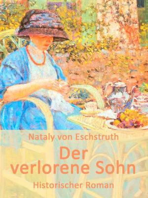 Cover of the book Der verlorene Sohn by Timo Jannis Hilger
