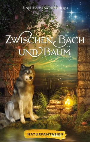 Cover of the book Zwischen Bach und Baum by Wolfgang Rinn