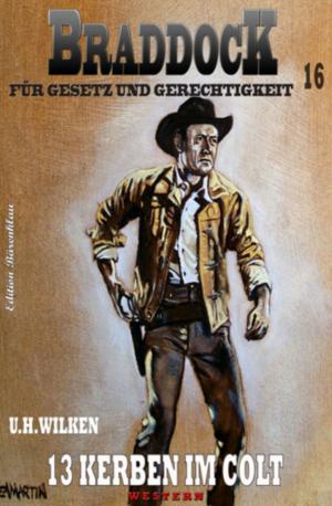 Cover of the book Braddock #16: 13 Kerben im Colt by Horst Bosetzky, -ky
