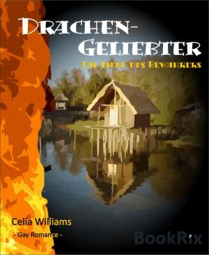 Cover of the book Drachengeliebter - Die Liebe des Bewahrers by Elmar Neffe